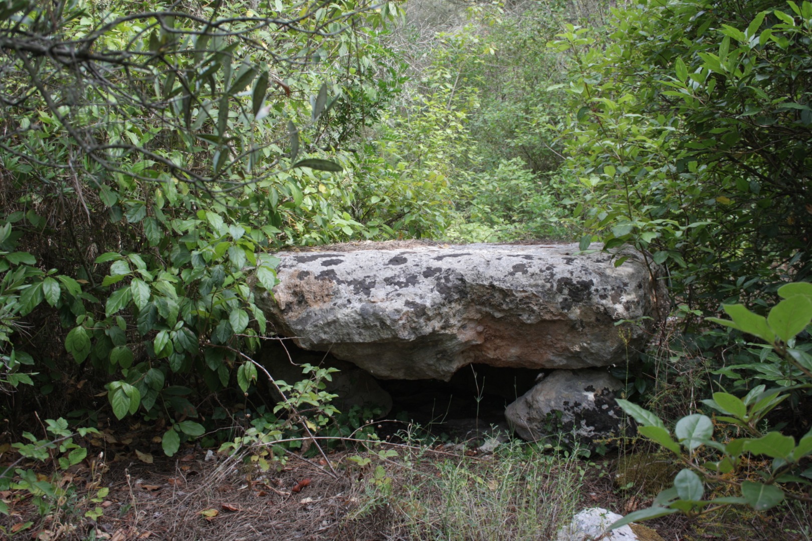 Dolmen Grotta_1